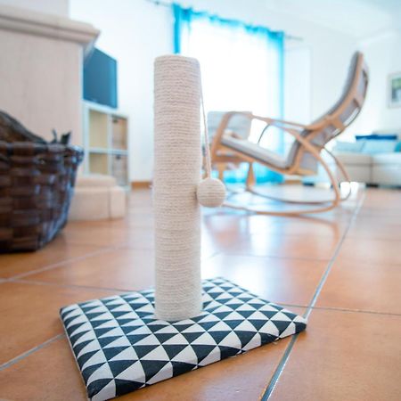Pe Na Areia By Stay In Alentejo Vila Nova de Milfontes Ngoại thất bức ảnh